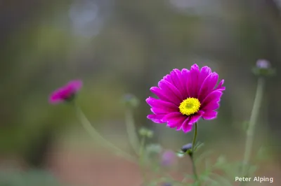DSC_4859_cswe8p