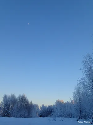 P1190207_qytoa3