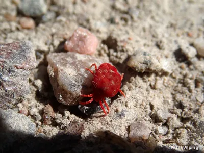 P5050377_jpidgq